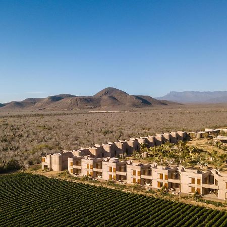 Paradero Todos Santos - Experience Inclusive Exterior foto