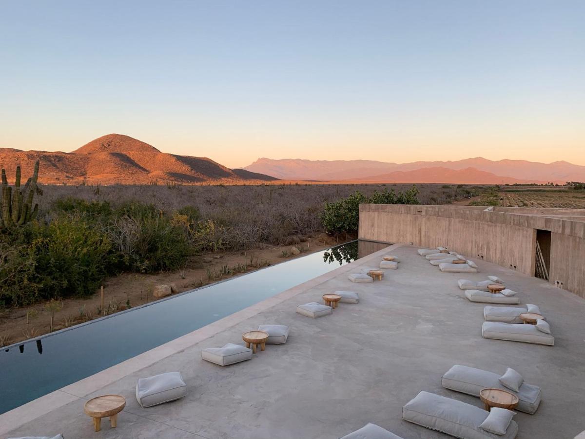 Paradero Todos Santos - Experience Inclusive Exterior foto