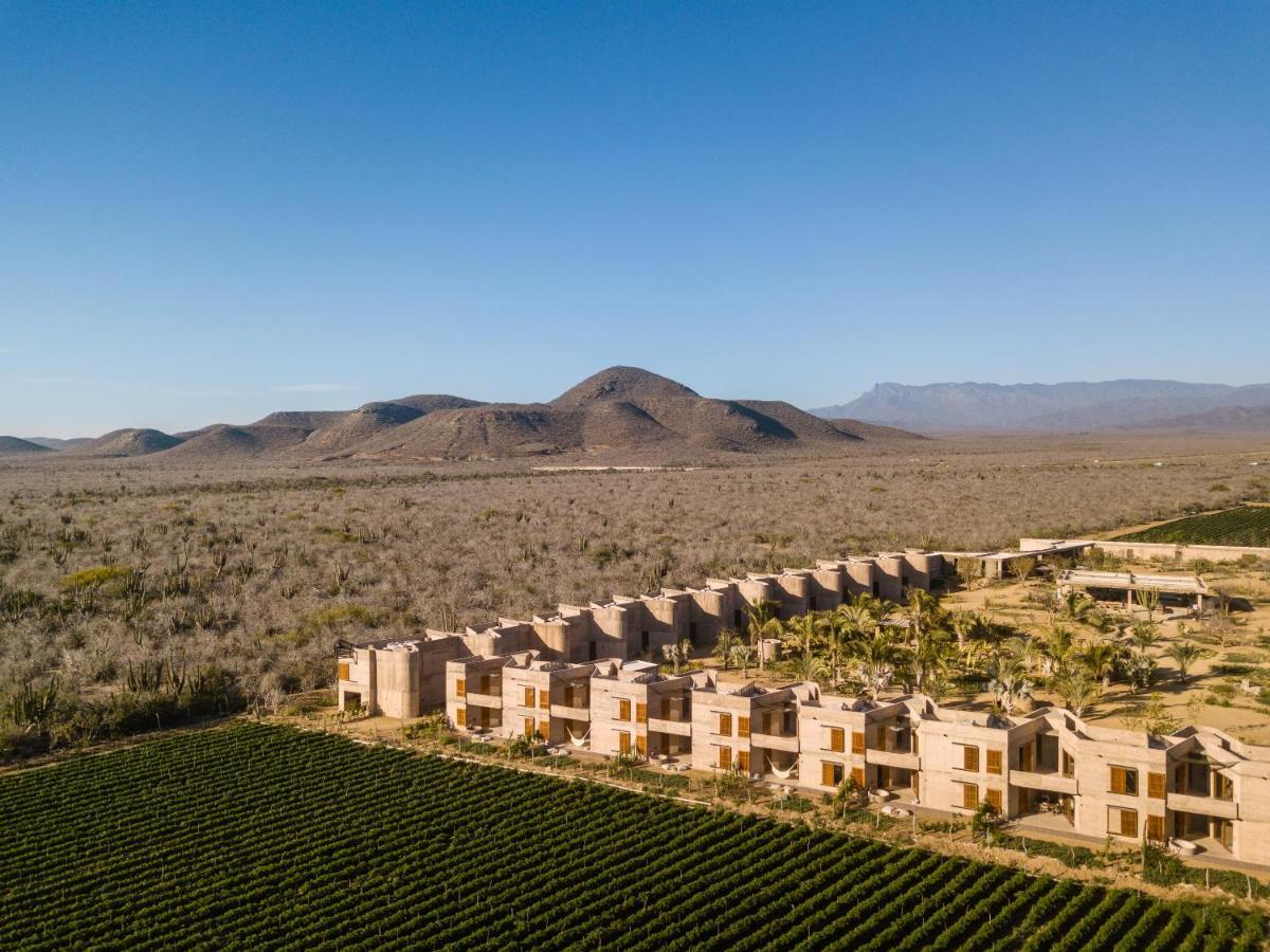 Paradero Todos Santos - Experience Inclusive Exterior foto