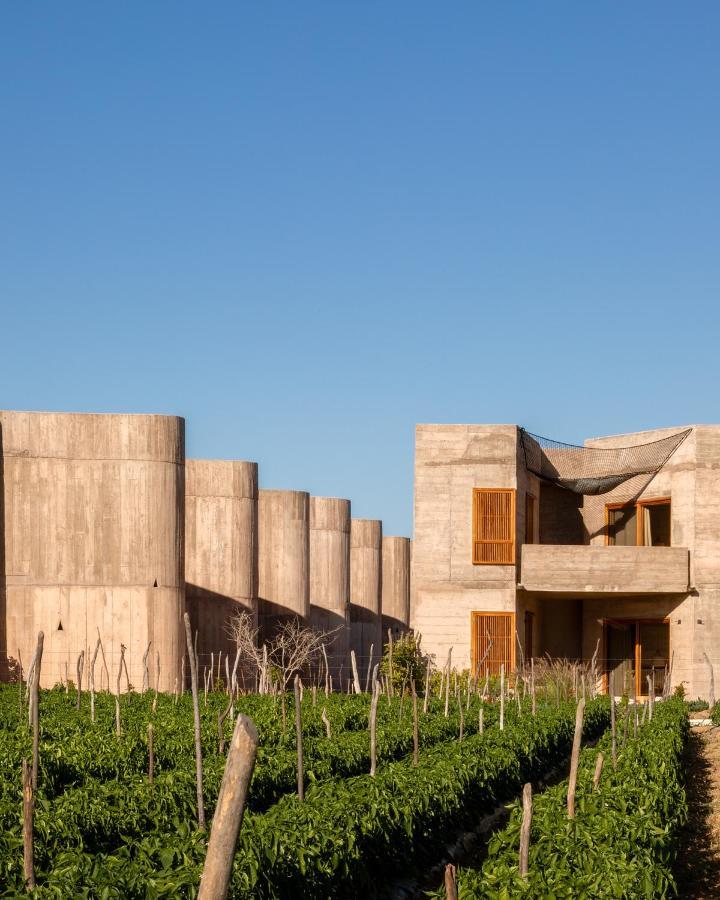 Paradero Todos Santos - Experience Inclusive Exterior foto