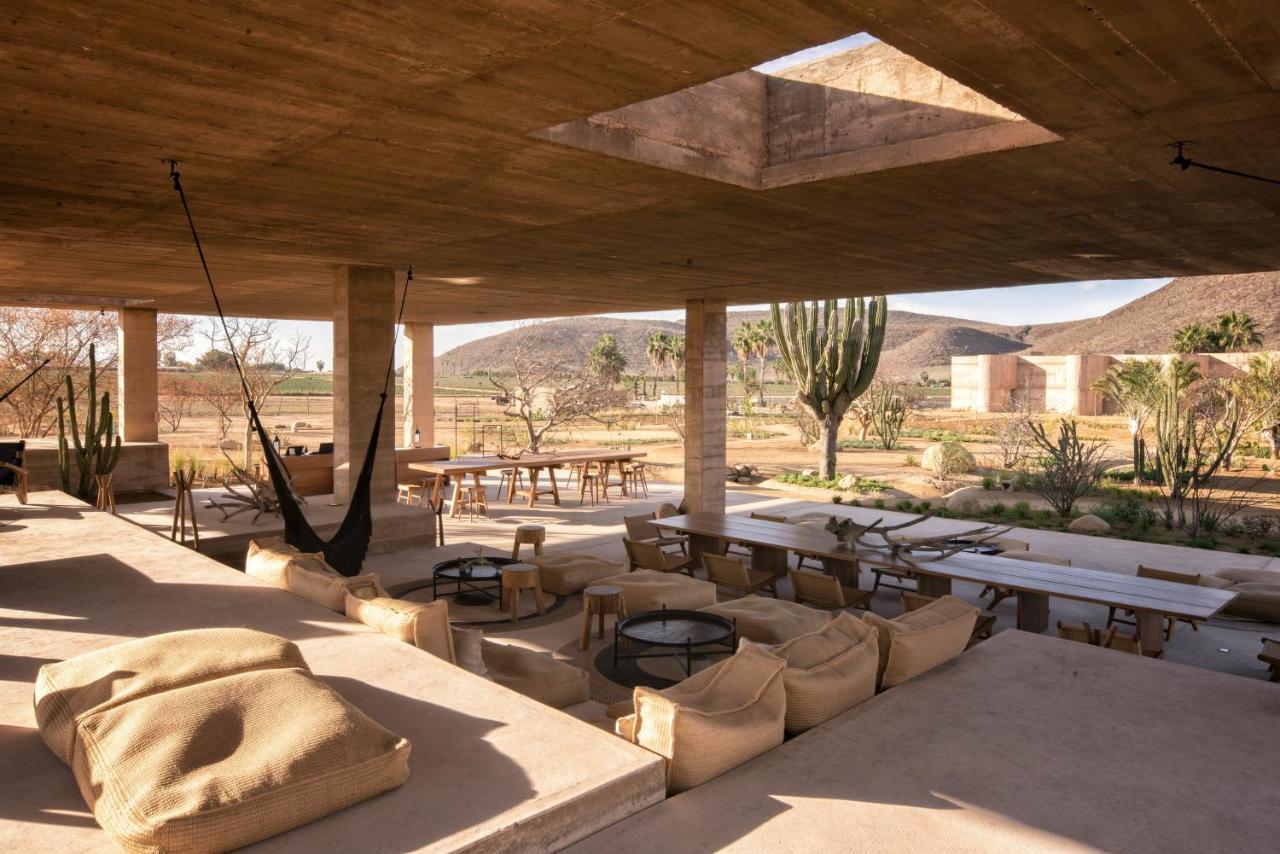Paradero Todos Santos - Experience Inclusive Exterior foto