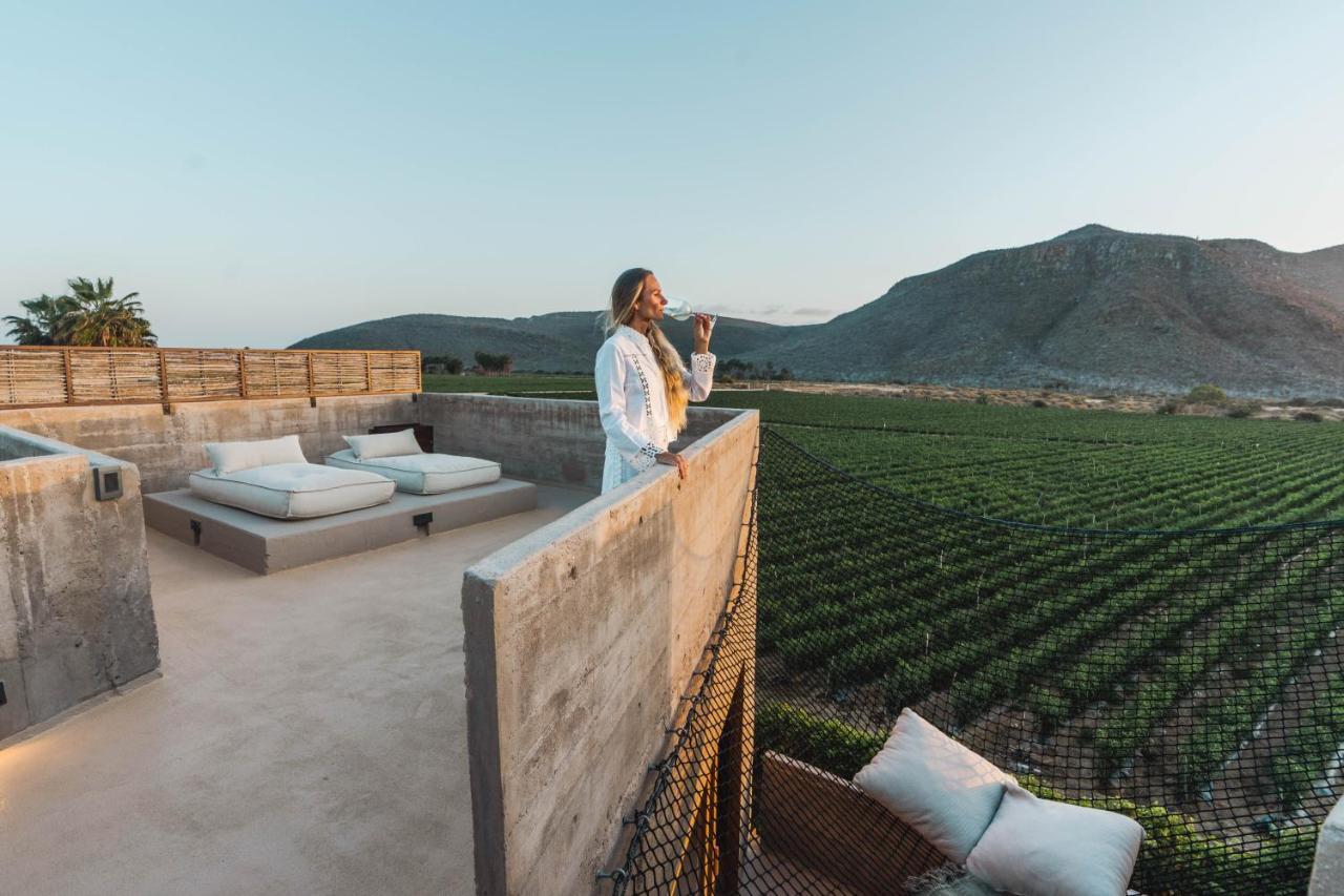 Paradero Todos Santos - Experience Inclusive Exterior foto